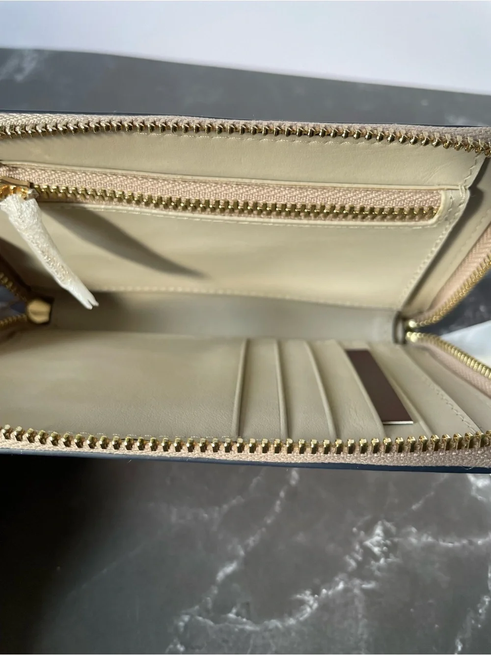 Radley London Midnight Wanderer Beige Leather Zip Wallet with Turtle🐢